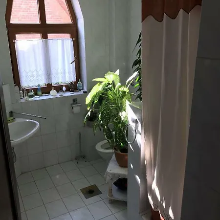 Holiday In Siofok/balaton 37032 Holiday home *